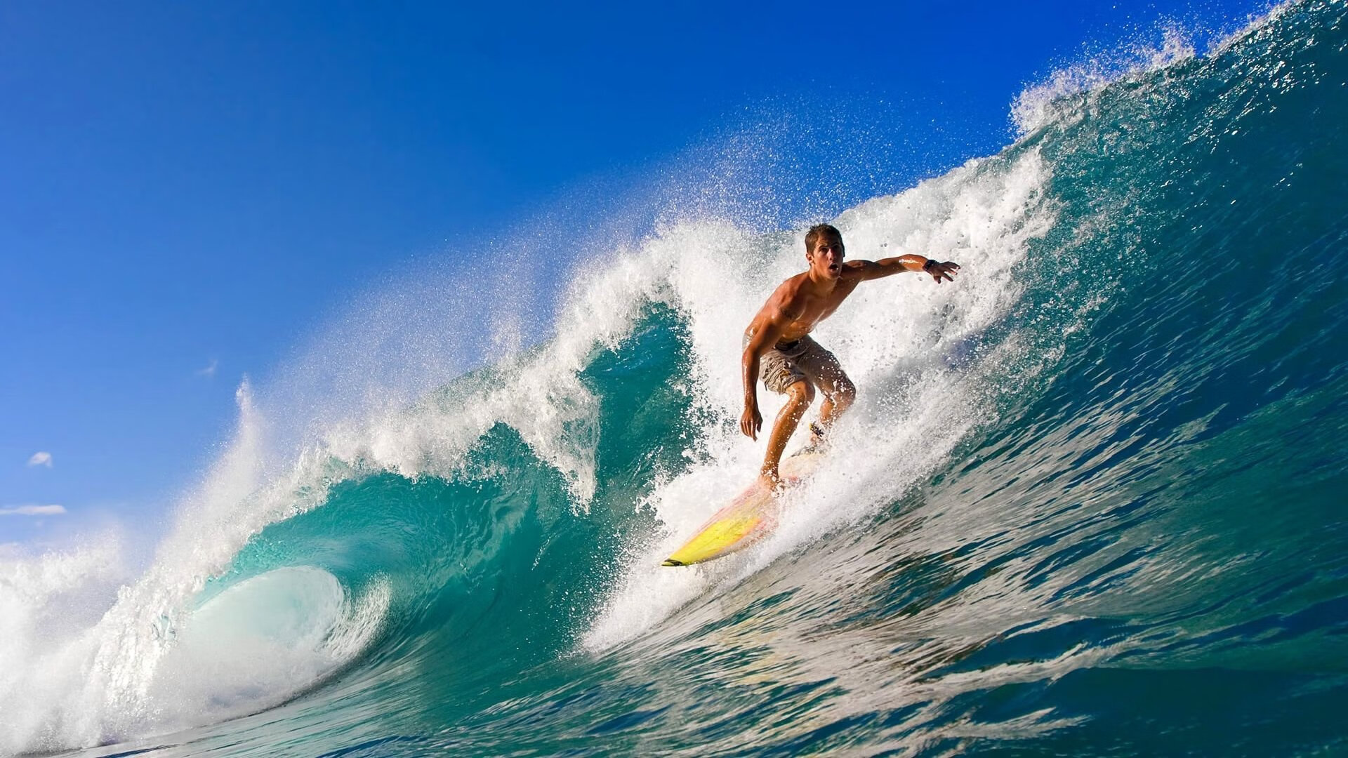 球员之间的友谊和竞争,体育精神的最佳体现,球员之间用什么语言交流